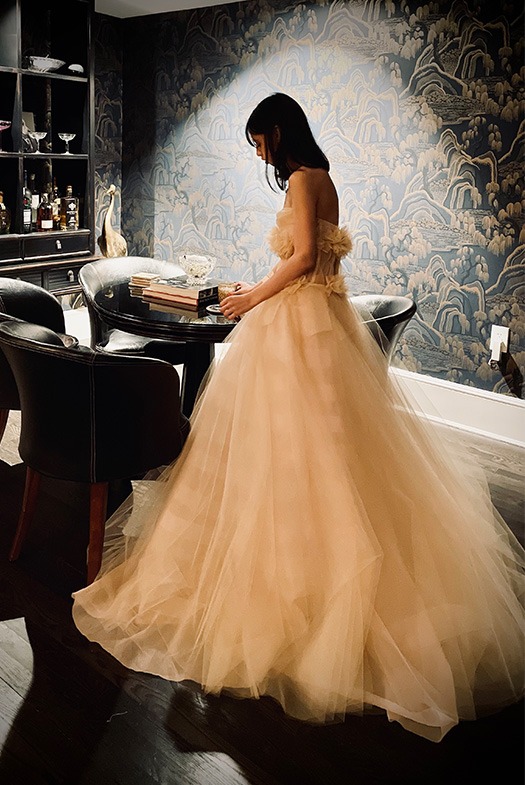 Circle crinoline starting at the hip-line, with bustier exposed through the layers of fabric